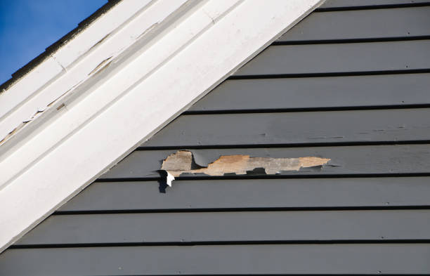 Siding Removal and Disposal in Belle Chasse, LA